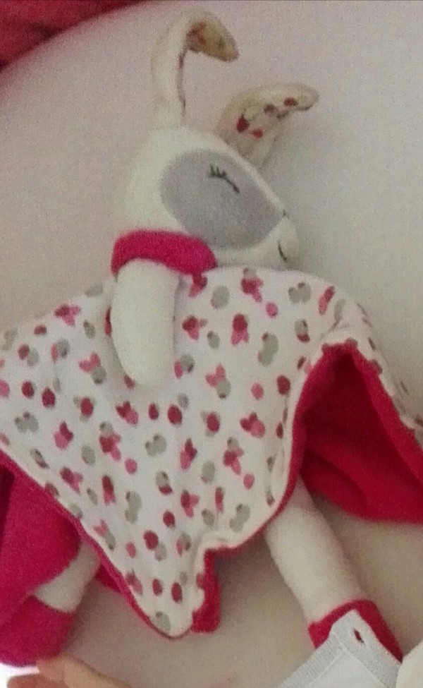 Perdu Doudou jeudi 13 juillet