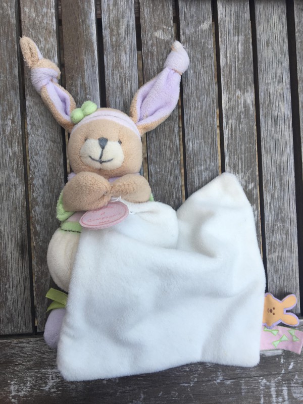 Perdu Doudou Lapin a Bonneval 28