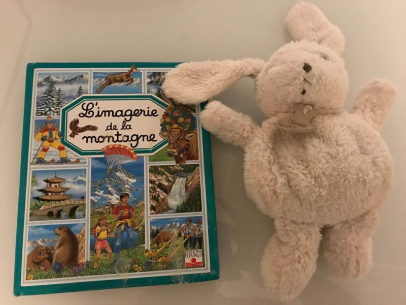 Doudou Lapin beige avec livre l'imagerie