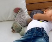 perdu doudou peluche