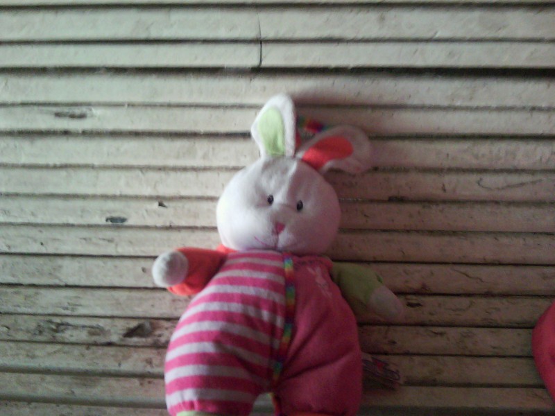 Lapin en peluche perdu
