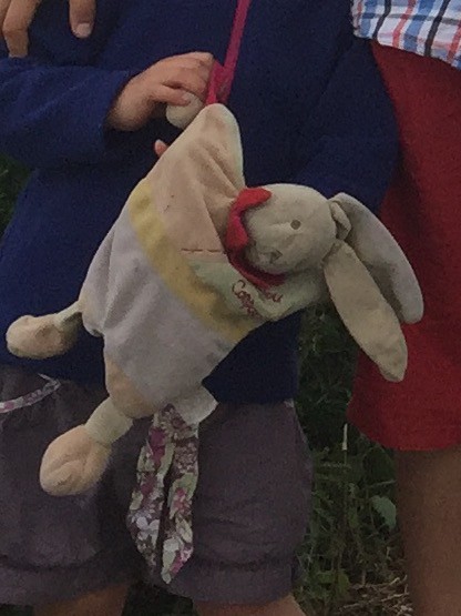 Perdu doudou lapin