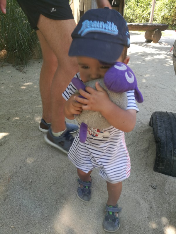 Perdu doudou mouton blanc et violet Trouville sur mer