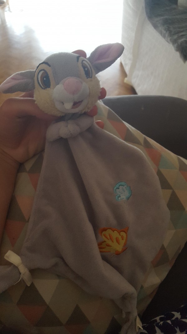 Perdu doudou lapin gris