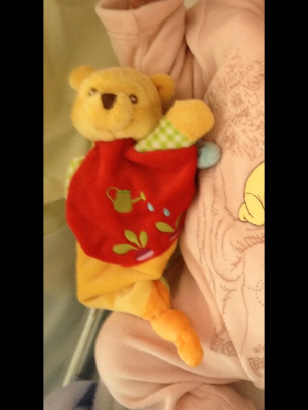 Doudou Winnie l'ourson perdu à Mimizan