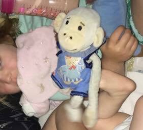 Perdu singe doudou popi docks Le Havre