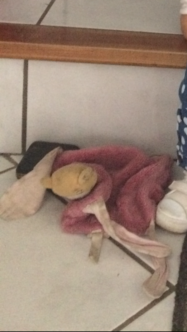 Perdu doudou rodez (onet le Château ) leclerc