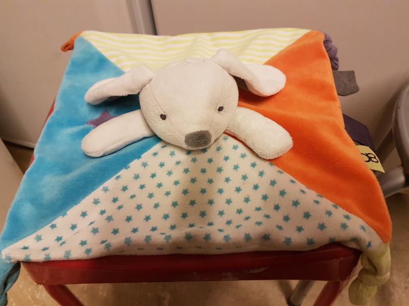 Doudou chien parking hôpital du mans