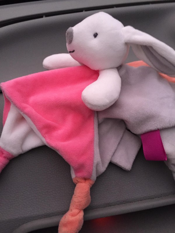 Doudou lapin Caen centre ville
