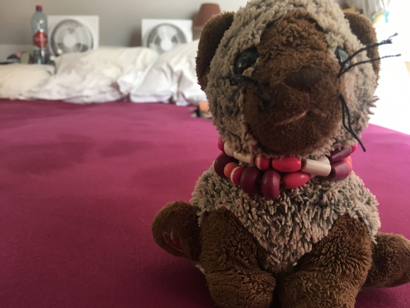 Doudou petit chat 20cm