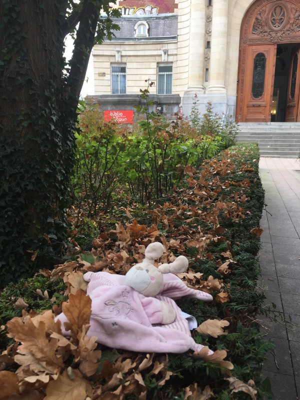 Doudou rose