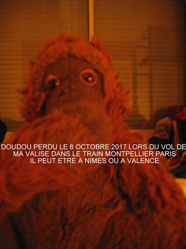 Doudou orang outan volé dans le train Montpellier- Nimes - Valence - Paris