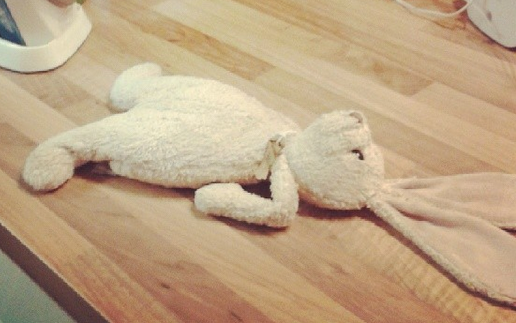 Doudou lapin perdu à Strasbourg