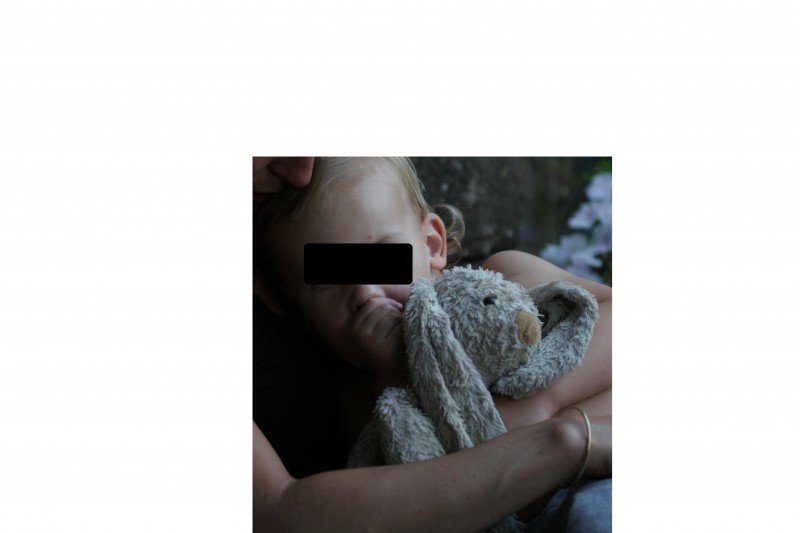 Perdu doudou lapin montpellier
