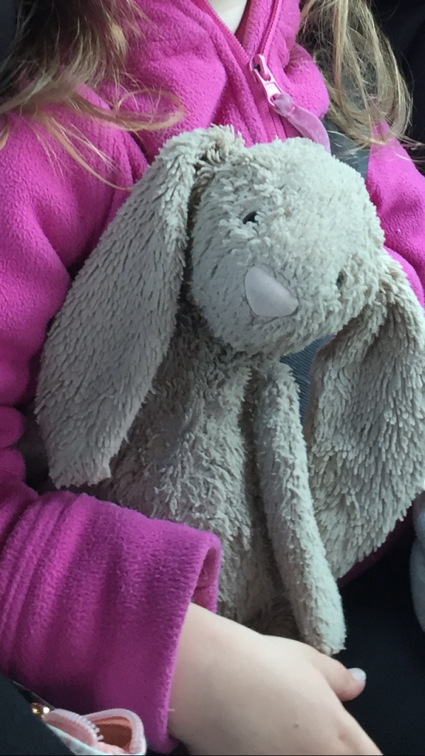 Perdu Lapin en peluche jellycat. Lyon 3 Lyon 6 et villeurbanne
