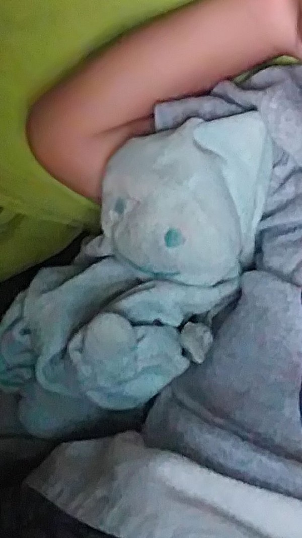 doudou perdu urgent svp
