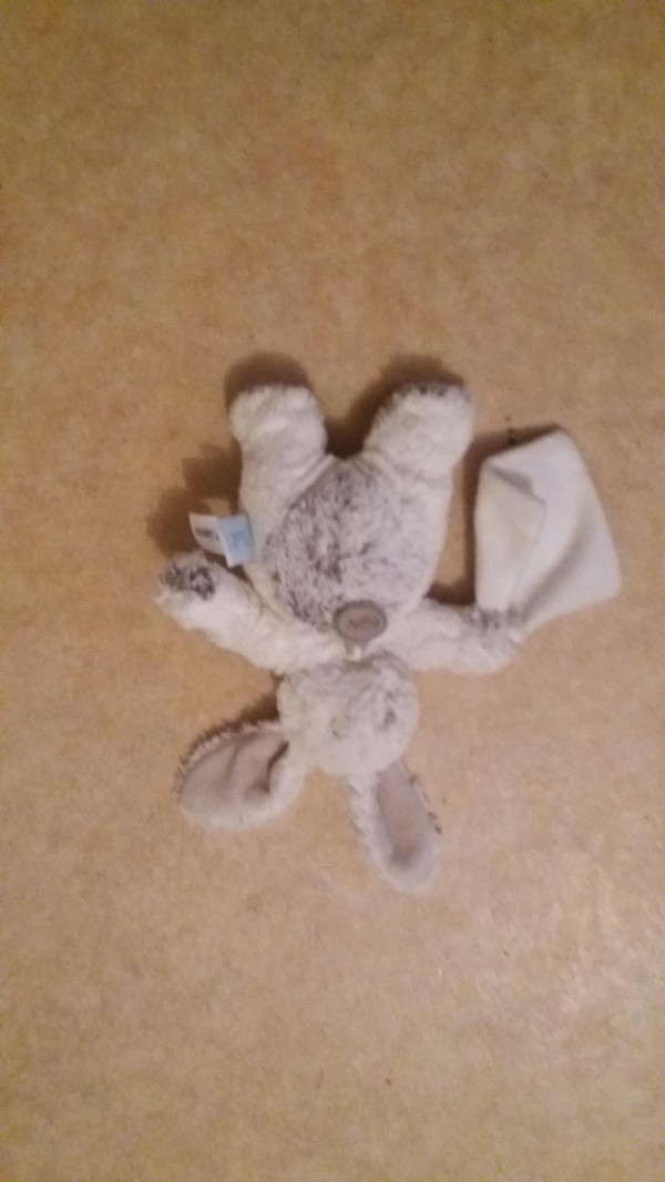 Perdu doudou
