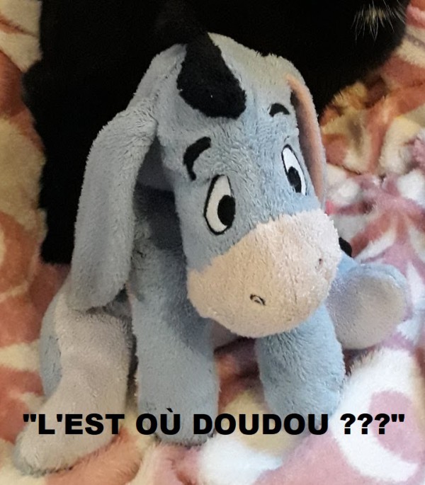 DOUDOU BOURRIQUET PERDU