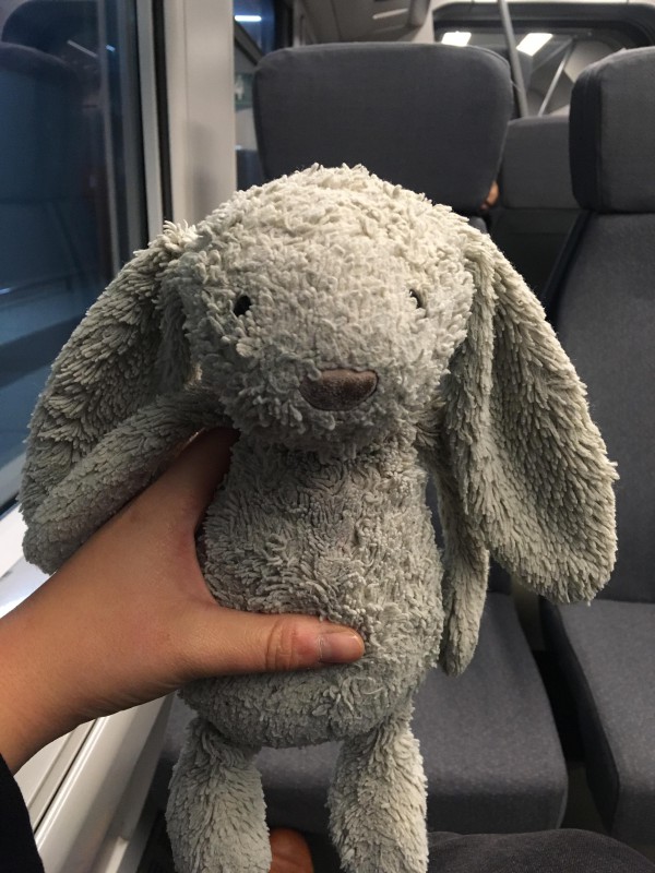 Lapin doudou trouvé à Charles de Gaulle / rabbit found