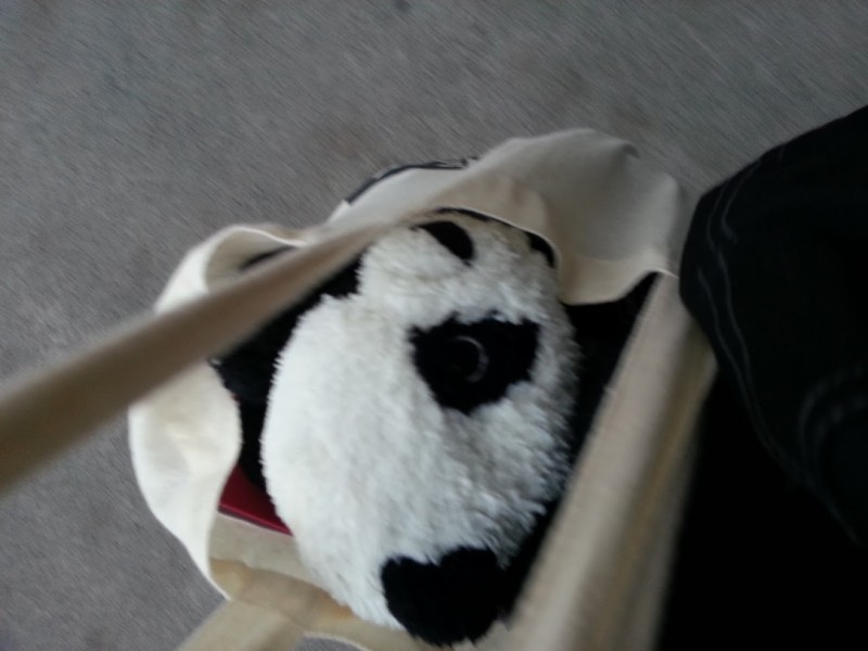 Peluche Panda IKEA perdue quartier Confluence (derrièrele centre commercial)