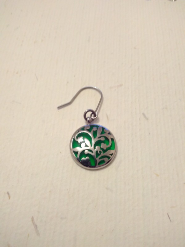 Boucle d'oreille vert et argent à Saint-Lô