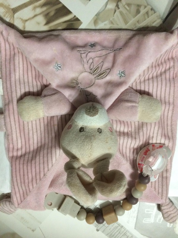 Doudou trouvé à Auxerre