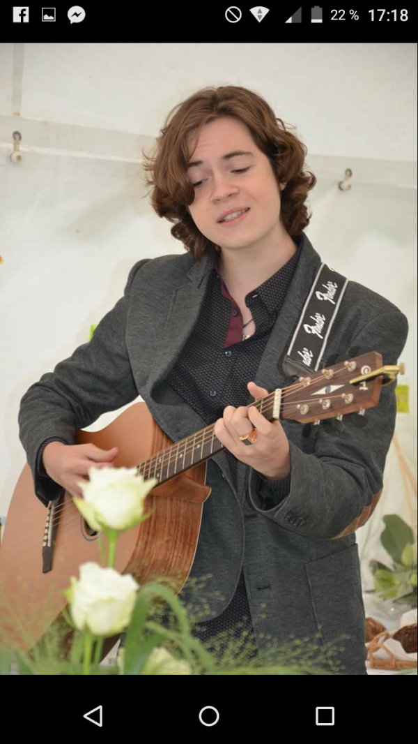 Guitare folk volée à Rennes, par effraction