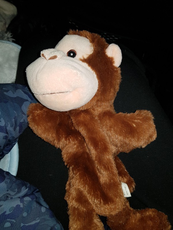 Doudou singe perdu