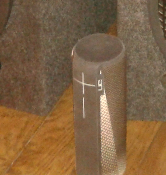 Perdu Enciente bluetooth, Orléans parc pasteur