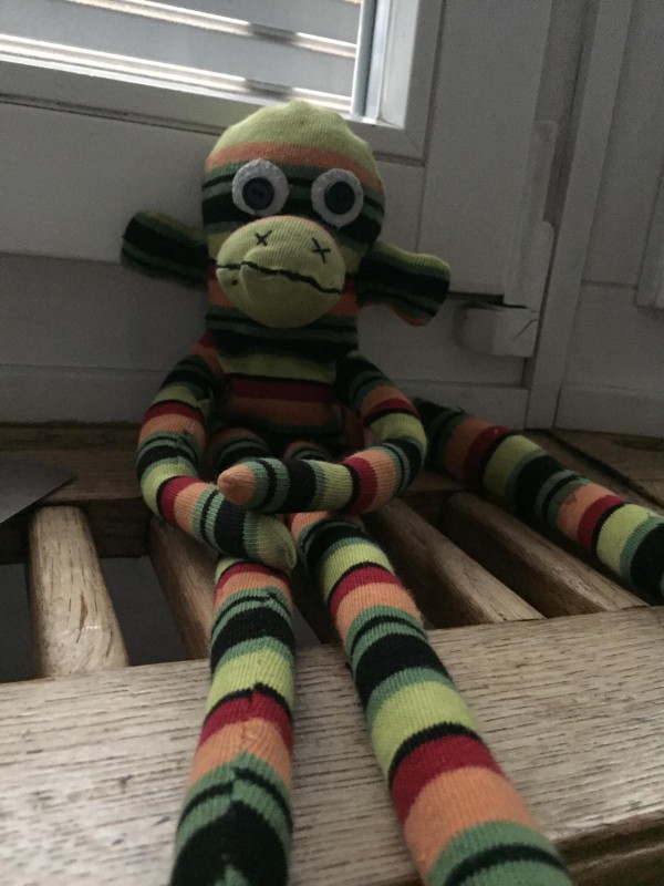 Doudou, petit singe, dans le trains de bâle à mulhouse le 23. decembre