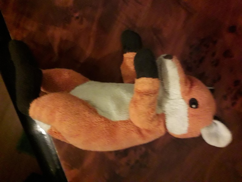 Perdu doudou renardeau