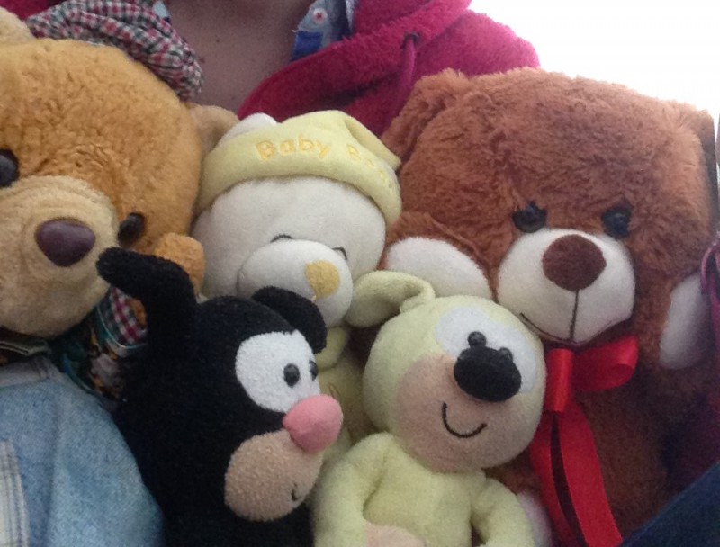 Peluches, dans valise volée, Avignon