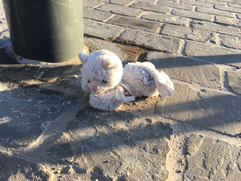 Doudou perdu au pied de la passerelle Napoléon à Lille, côté esplanade du champ de mars