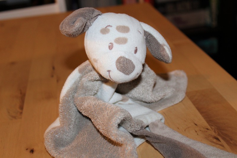 doudou tête de chien perdu près de palais de justice TOULOUSE