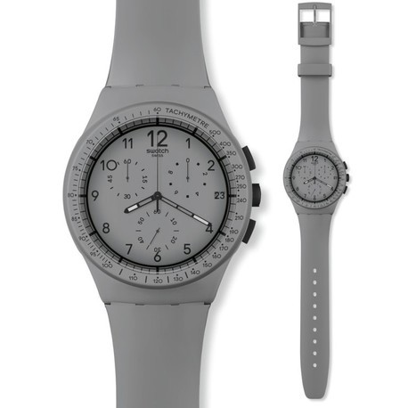 Perdu montre swatch grise