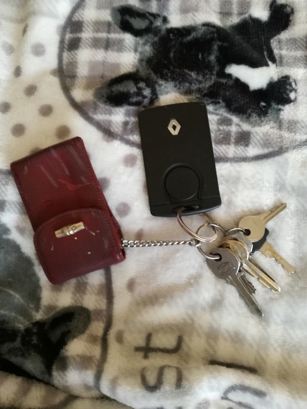 Trouver clés + carte de voiture