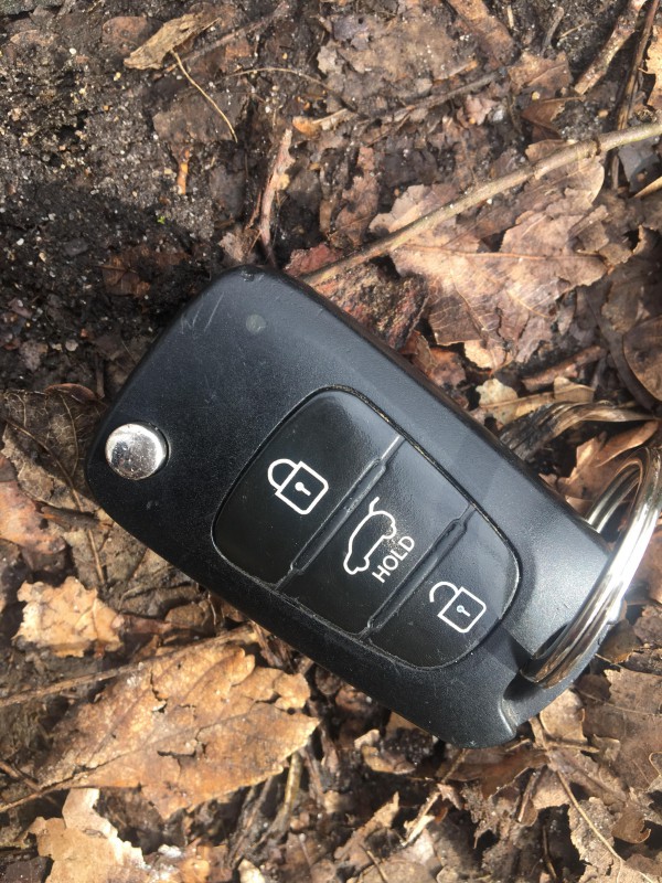 Clé de voiture KIA dans Parc Nogent-sur-Marne /Vincennes