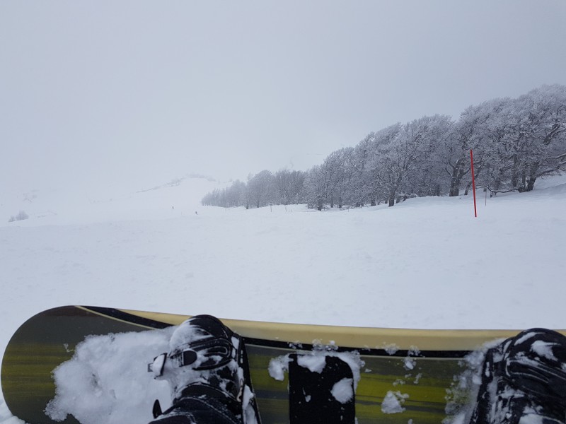 Snow