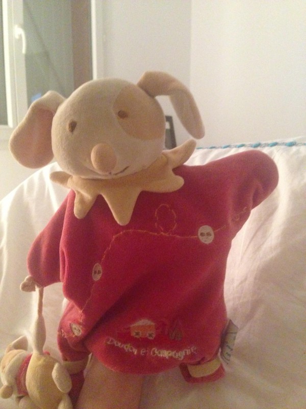 Perdu Doudou chien rouge