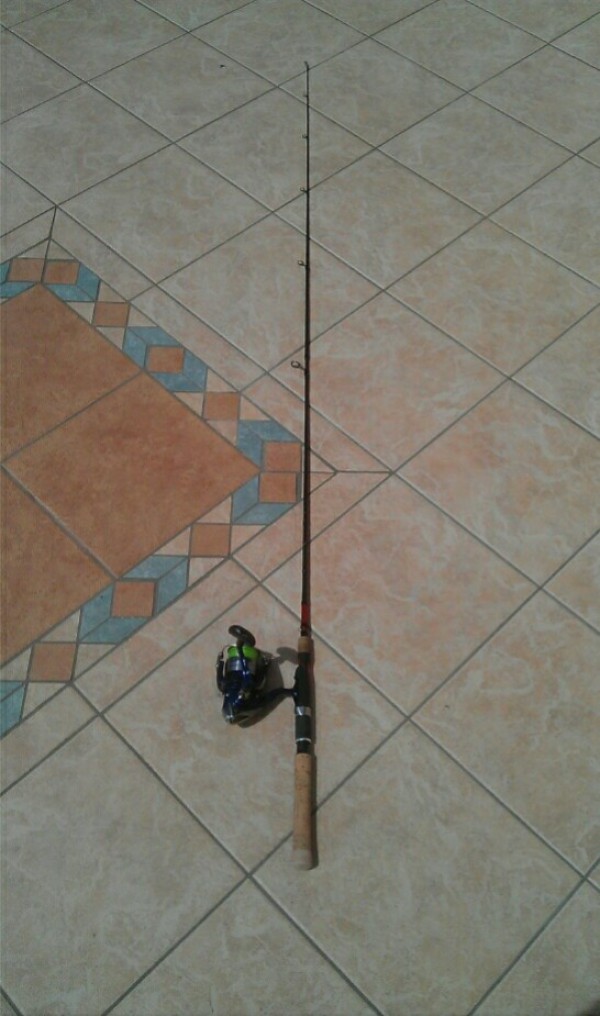 Canne à pêche Shimano