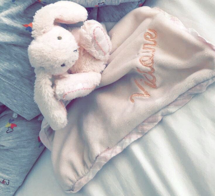 Doudou rose Pallin entre saint Jean et la villa’ des tours le long de la plage à la ciotat