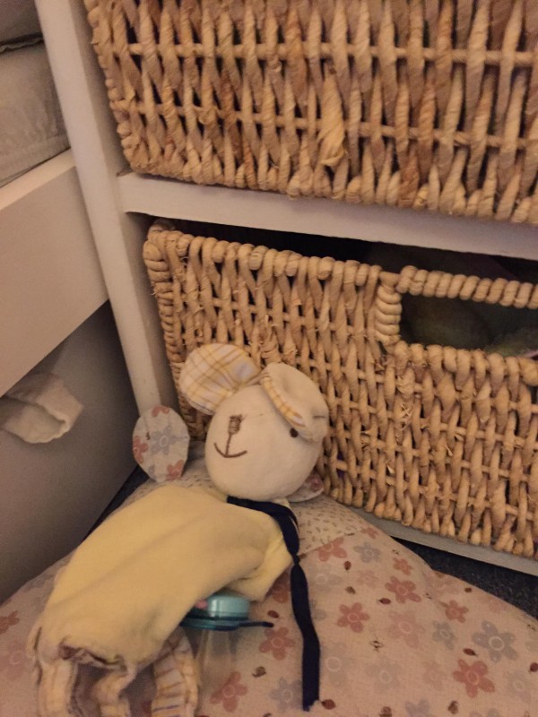 Valise contenant un doudou de fillette