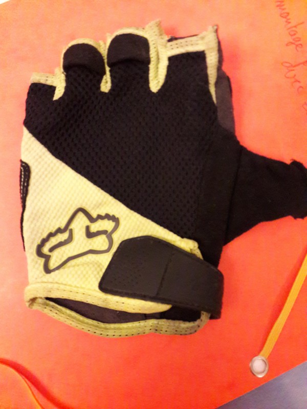 Gant court fox perdu dans Auchan ILLKIRCH