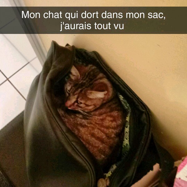 Grande Sacoche