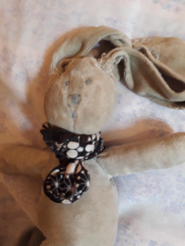 Doudou lapin gris perdu dans le train Bordeaux Strasbourg départ 9h08 le 22 avril
