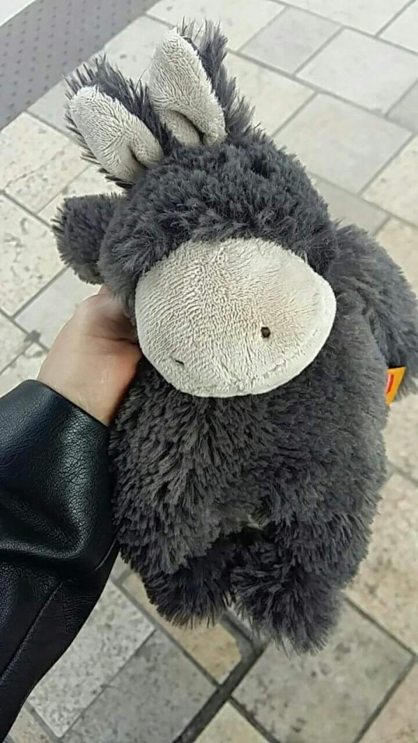 Doudou ÂNE