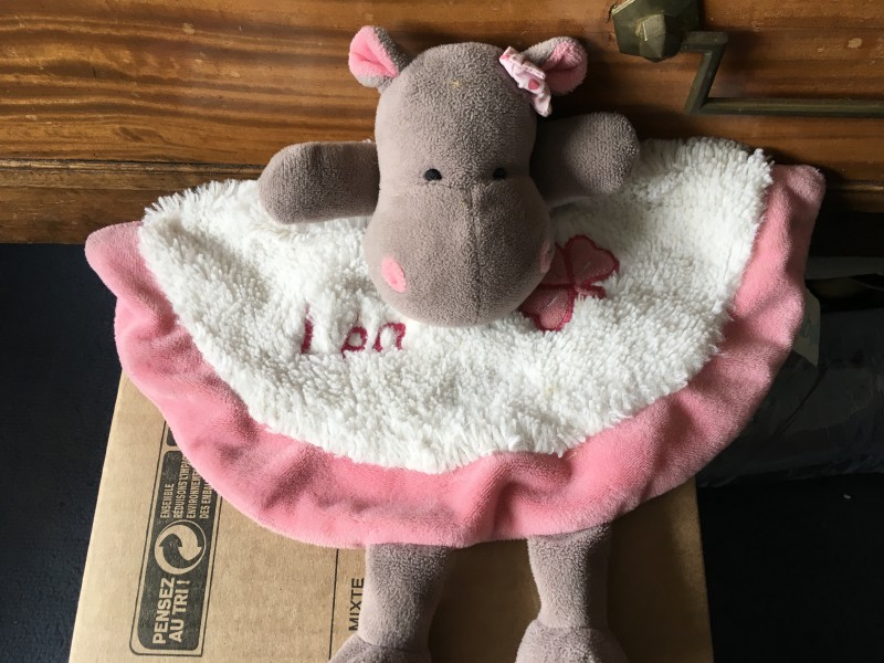 Doudou ramassé dans le quartier du point du jour à Boulogne Billancourt