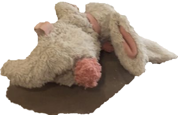 Doudou lapin de Maria perdu à Belfort