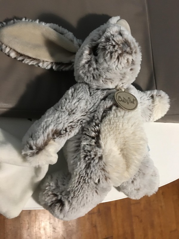Perdu Doudou Lapin Gris/Beige à Nantes, aux alentours de la Place royale