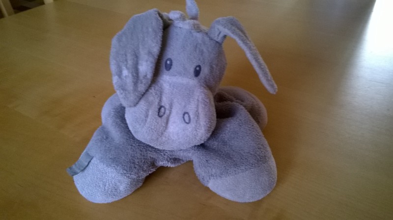 Perdu doudou Ane à Arcachon